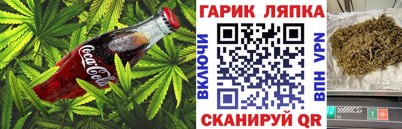 Cannafood конопля  Электросталь 