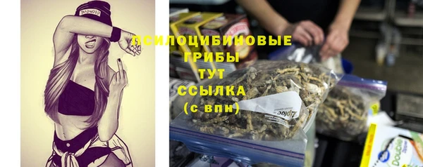 мдпв Волосово