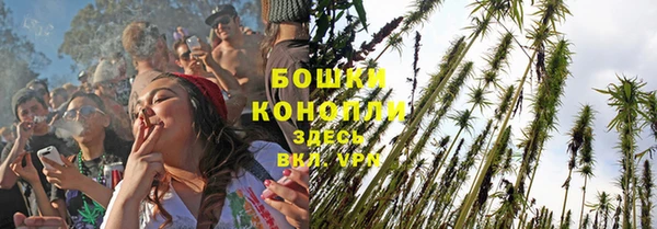 гидропоника Володарск