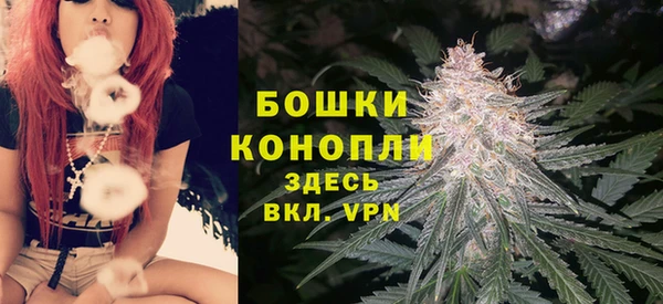 стаф Волоколамск