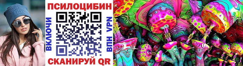 darknet официальный сайт  Электросталь  Псилоцибиновые грибы GOLDEN TEACHER  OMG зеркало 